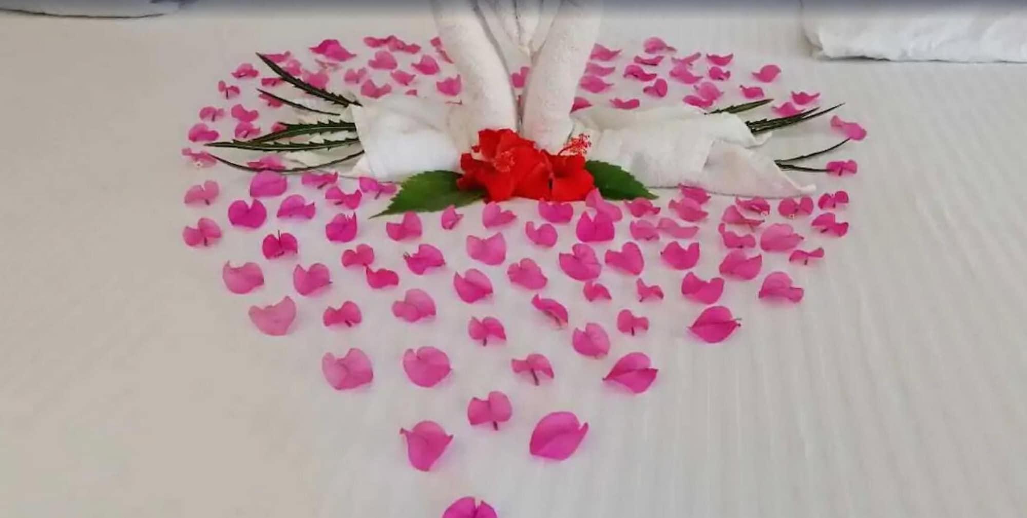 San José del Cabo Casa Natalia Boutique Hotel Adults Only מראה חיצוני תמונה