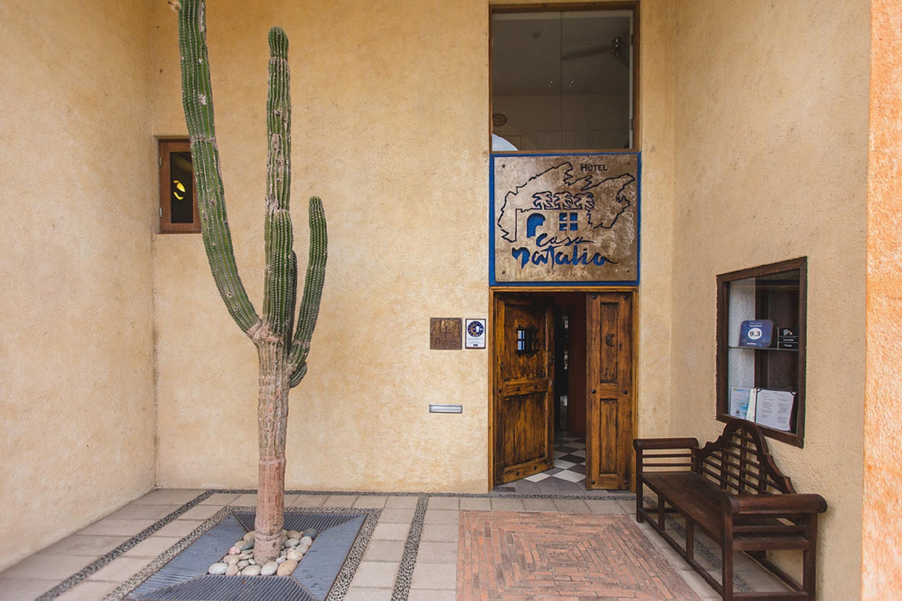 San José del Cabo Casa Natalia Boutique Hotel Adults Only מראה חיצוני תמונה