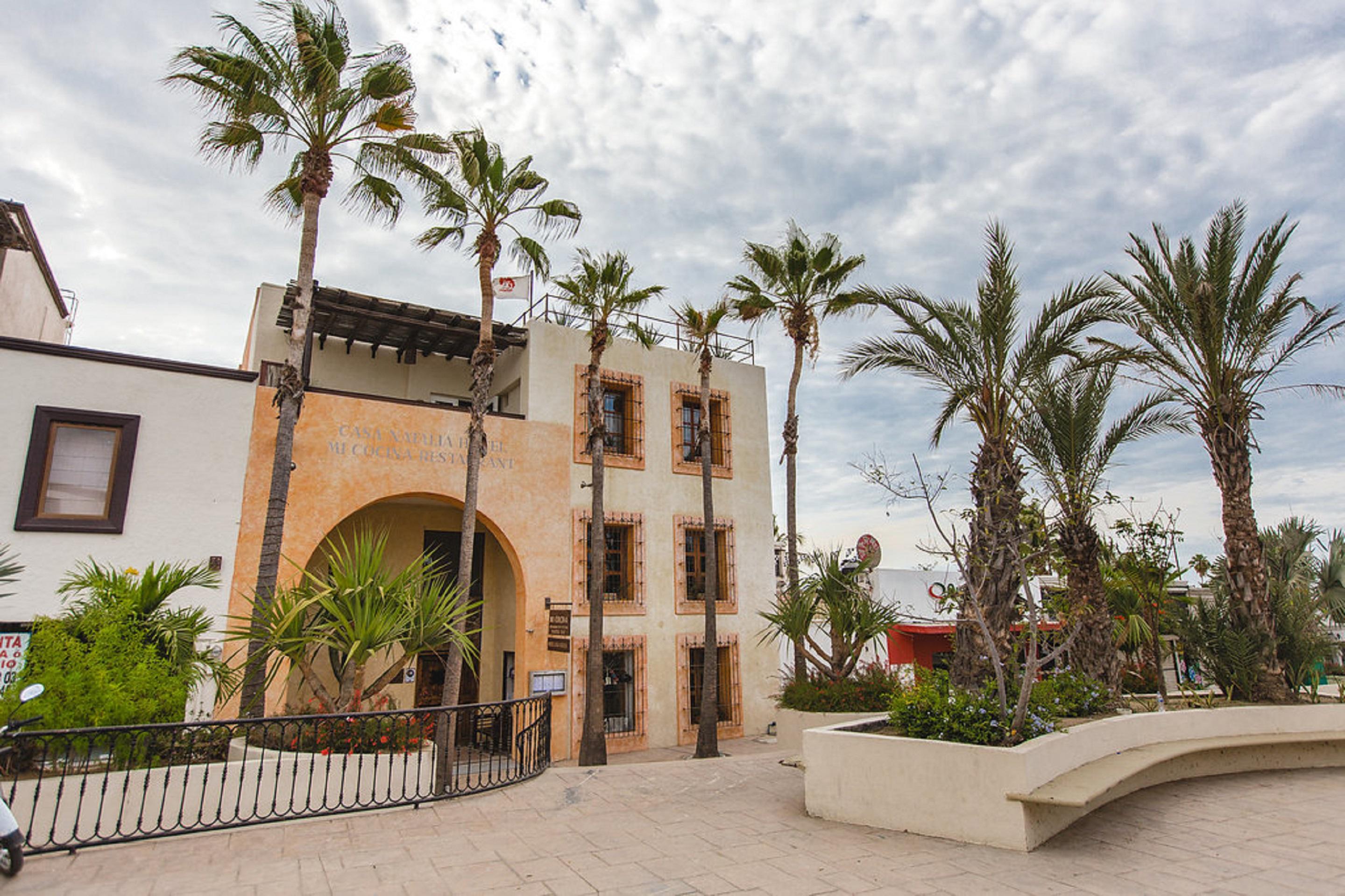 San José del Cabo Casa Natalia Boutique Hotel Adults Only מראה חיצוני תמונה