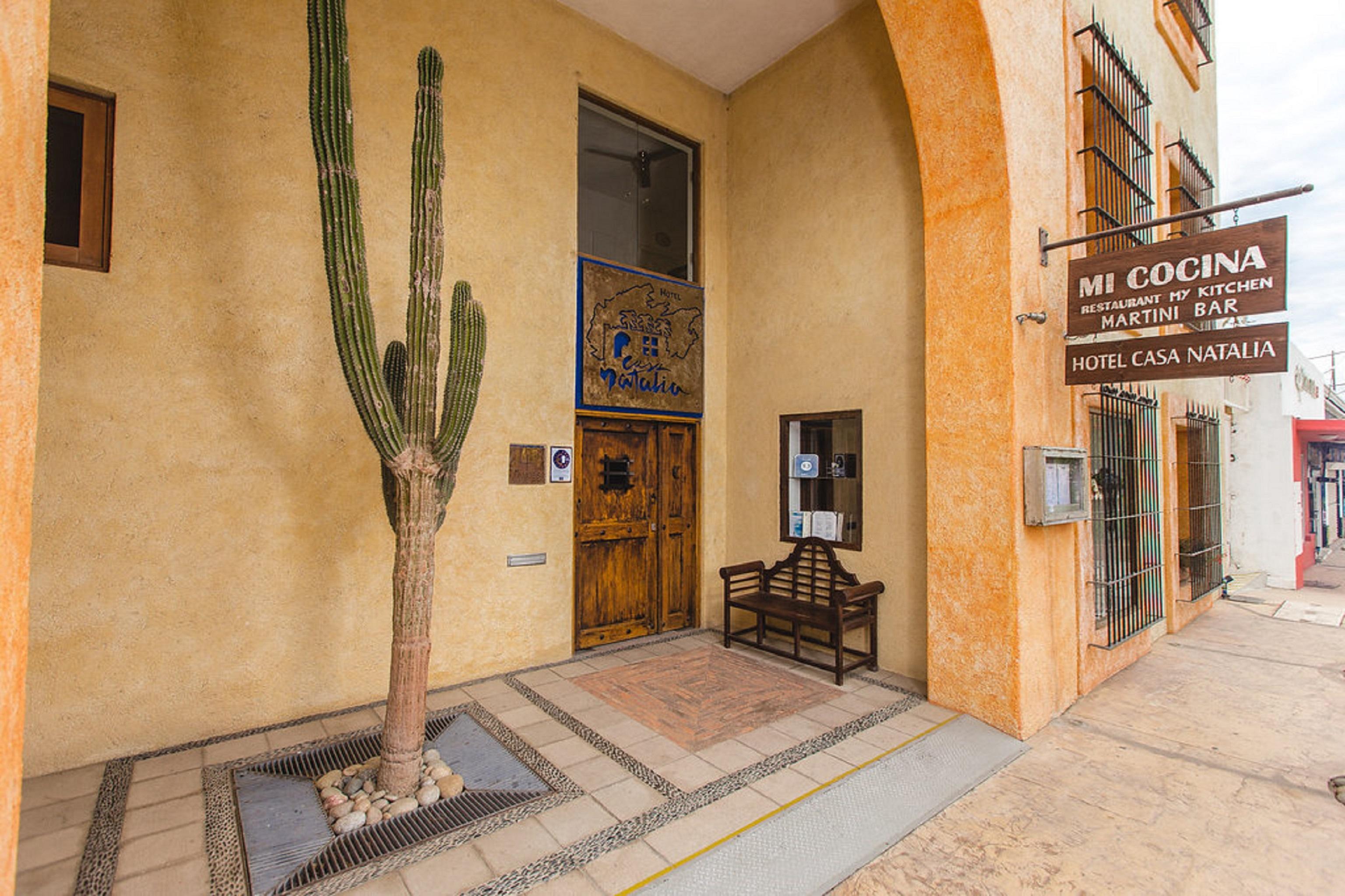 San José del Cabo Casa Natalia Boutique Hotel Adults Only מראה חיצוני תמונה
